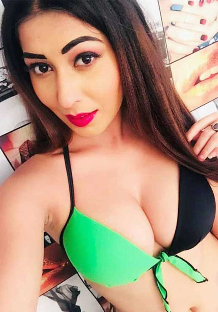 Manali Call Girl Service